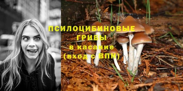 бошки Алзамай